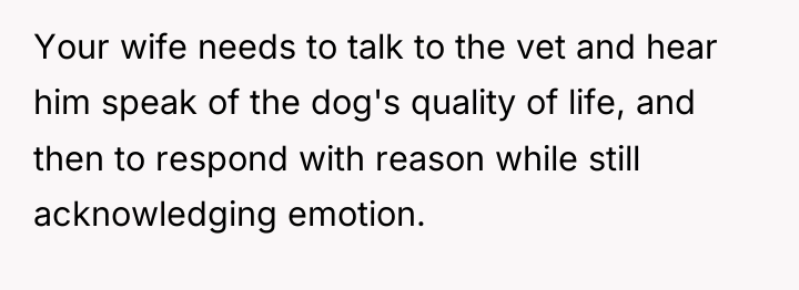 Your wife needs to talk to the vet and hear...