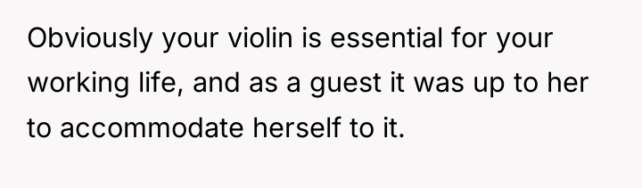 Obviously your violin is essential for your working life, and...