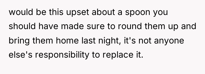 would be this upset about a spoon you should have...