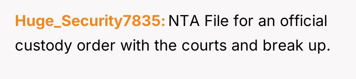 Huge_Security7835 NTA File for an official custody order with the...