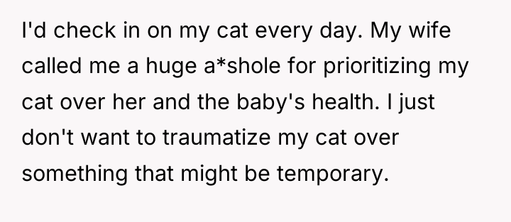 I'd check in on my cat every day. My wife...