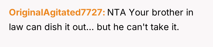 OriginalAgitated7727 NTA Your brother in law can dish it out......