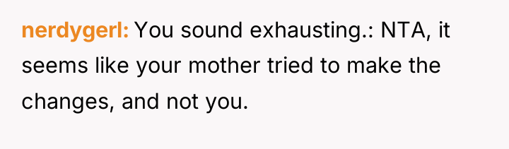 nerdygerl You sound exhausting.: NTA, it seems like your mother...