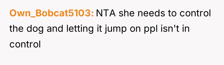 Own_Bobcat5103 NTA she needs to control the dog and letting...