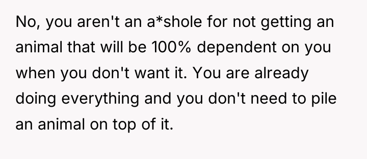No, you aren't an a*shole for not getting an animal...