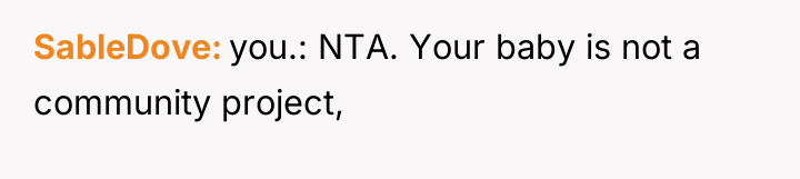 SableDove you.: NTA. Your baby is not a community project,