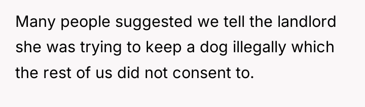 Many people suggested we tell the landlord she was trying...