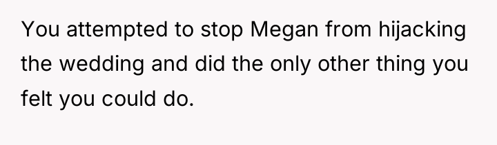 You attempted to stop Megan from hijacking the wedding and...