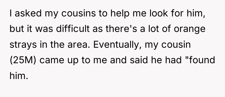 I asked my cousins to help me look for him,...