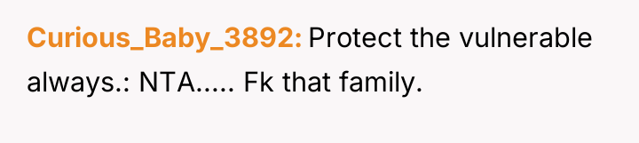 Curious_Baby_3892 Protect the vulnerable always.: NTA..... Fk that family.