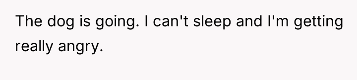 The dog is going. I can't sleep and I'm getting...