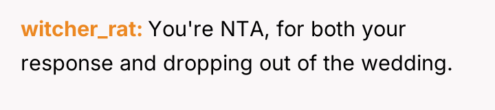 witcher_rat You're NTA, for both your response and dropping out...