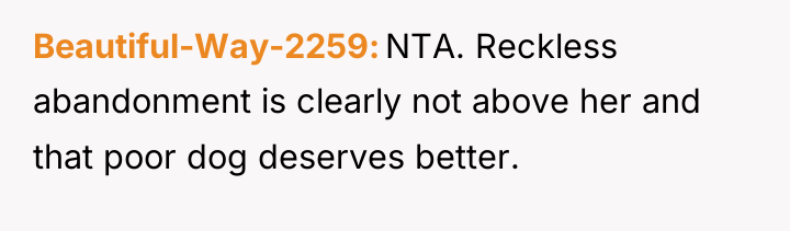 Beautiful-Way-2259 NTA. Reckless abandonment is clearly not above her and...