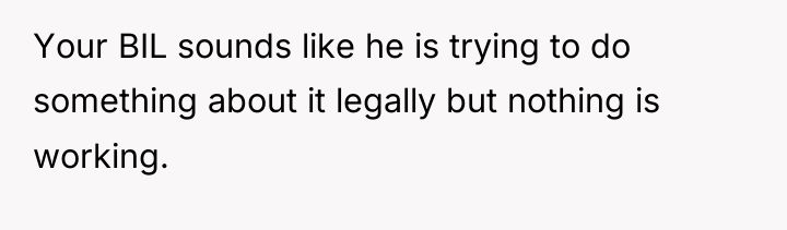 Your BIL sounds like he is trying to do something...