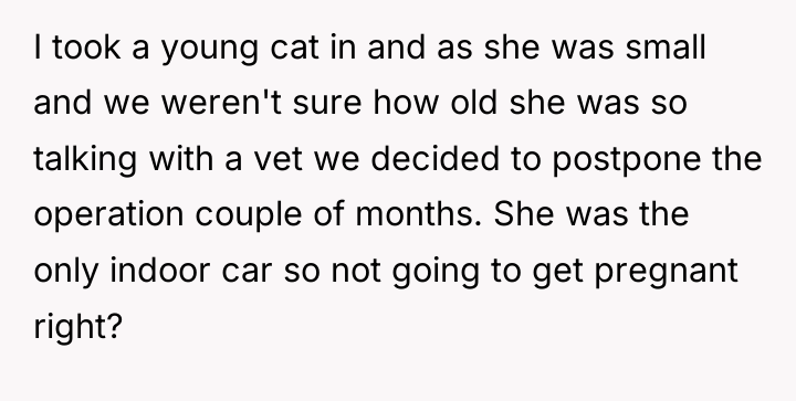 I took a young cat in and as she was...