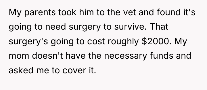My parents took him to the vet and found it's...