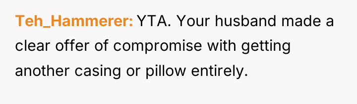 Teh_Hammerer YTA. Your husband made a clear offer of compromise...