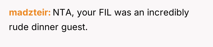 madzteir NTA, your FIL was an incredibly rude dinner guest.