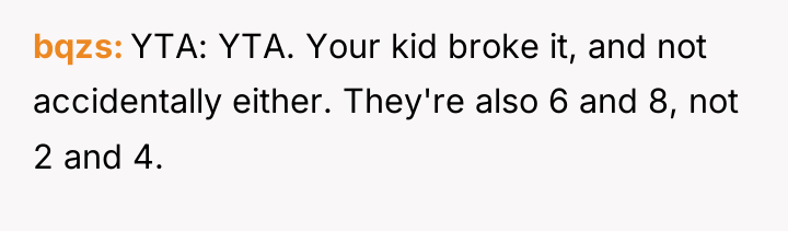 bqzs YTA: YTA. Your kid broke it, and not accidentally...