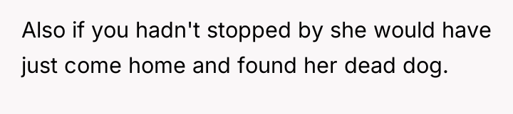 Also if you hadn't stopped by she would have just...