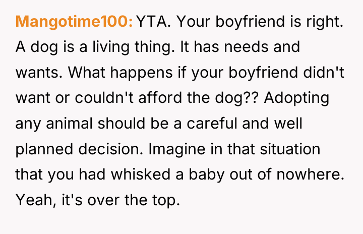 Mangotime100 YTA. Your boyfriend is right. A dog is a...