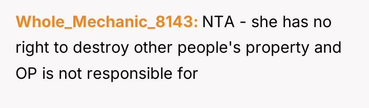 Whole_Mechanic_8143 NTA - she has no right to destroy other...