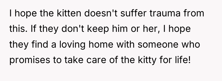 I hope the kitten doesn't suffer trauma from this. If...