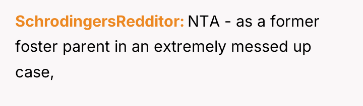 SchrodingersRedditor NTA - as a former foster parent in an...
