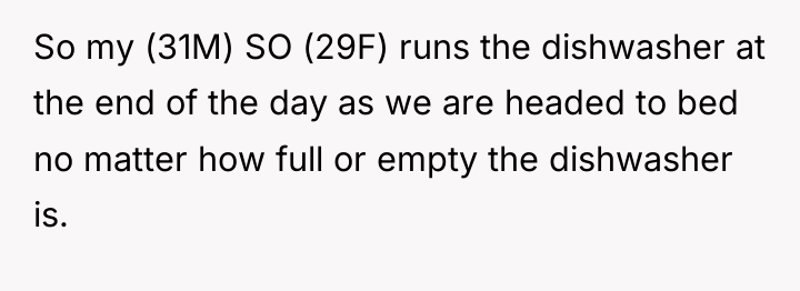 So my (31M) SO (29F) runs the dishwasher at the...