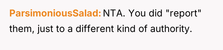 ParsimoniousSalad NTA. You did "report" them, just to a different...