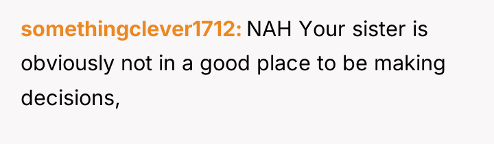 somethingclever1712 NAH Your sister is obviously not in a good...