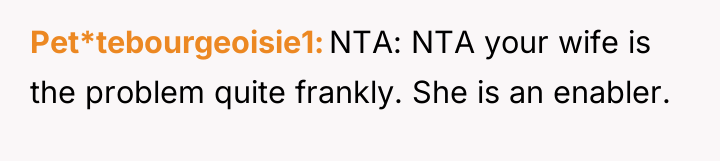 Pet*tebourgeoisie1 NTA: NTA your wife is the problem quite frankly....