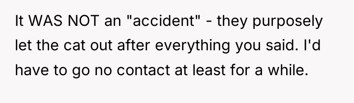 It WAS NOT an "accident" - they purposely let the...
