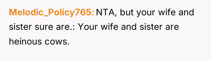 Melodic_Policy765 NTA, but your wife and sister sure are.: Your...