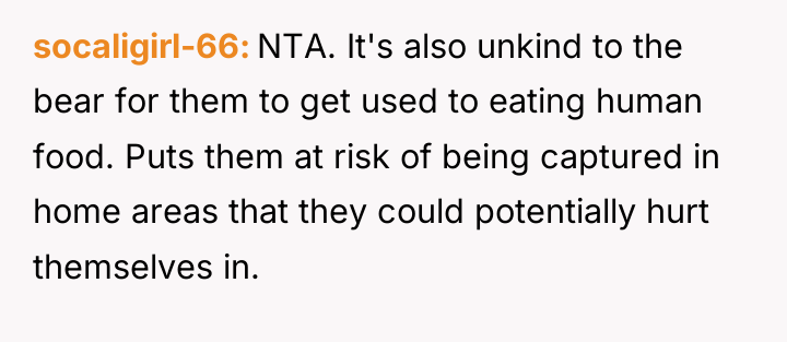 socaligirl-66 NTA. It's also unkind to the bear for them...