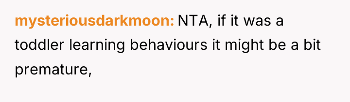 mysteriousdarkmoon NTA, if it was a toddler learning behaviours it...