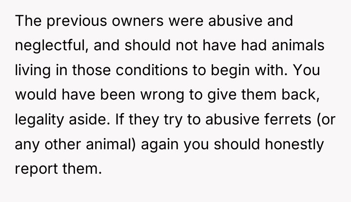 The previous owners were abusive and neglectful, and should not...