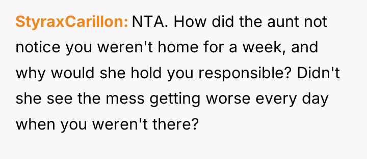 StyraxCarillon NTA. How did the aunt not notice you weren't...