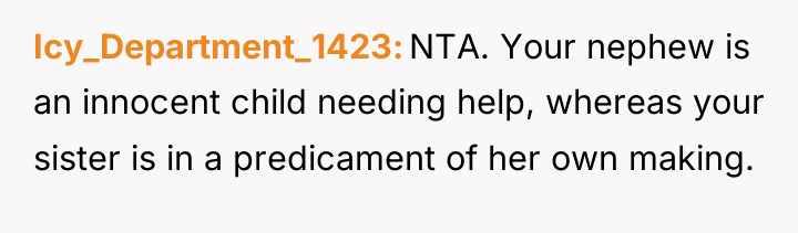 Icy_Department_1423 NTA. Your nephew is an innocent child needing help,...
