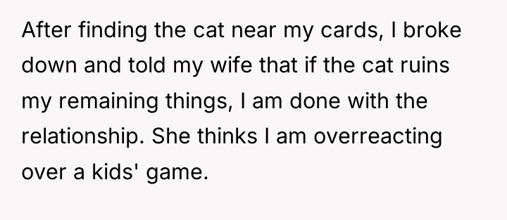 After finding the cat near my cards, I broke down...