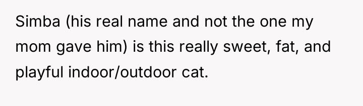 Simba (his real name and not the one my mom...