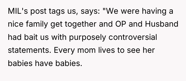 MIL's post tags us, says: "We were having a nice...