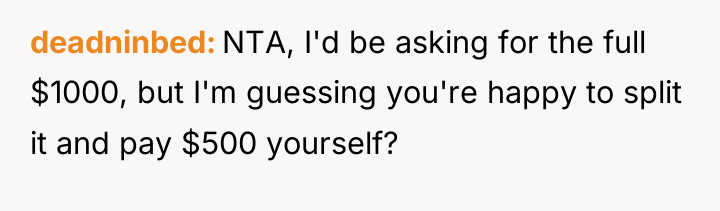 deadninbed NTA, I'd be asking for the full $1000, but...