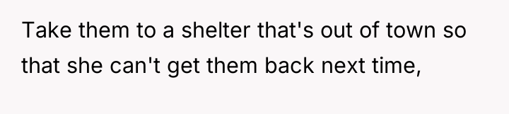Take them to a shelter that's out of town so...