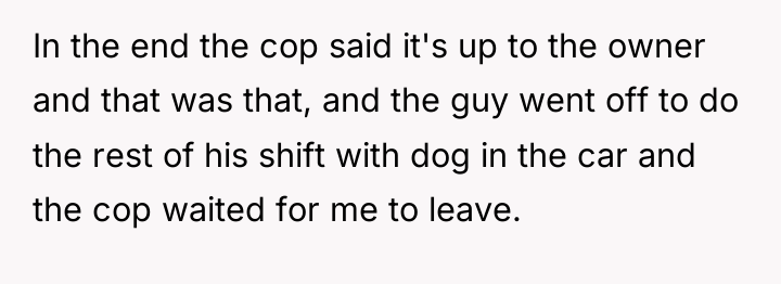 In the end the cop said it's up to the...