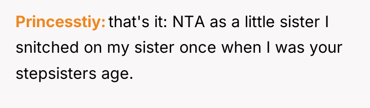 Princesstiy that's it: NTA as a little sister I snitched...