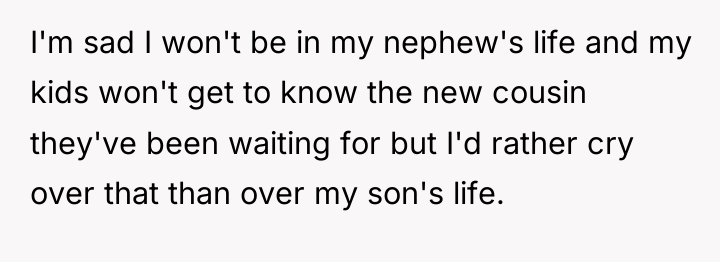 I'm sad I won't be in my nephew's life and...