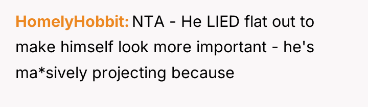 HomelyHobbit NTA - He LIED flat out to make himself...