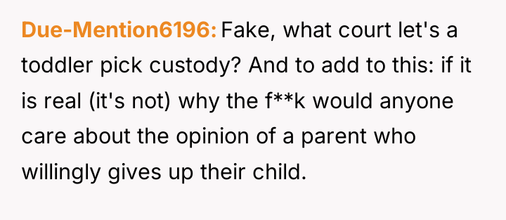 Due-Mention6196 Fake, what court let's a toddler pick custody? And...