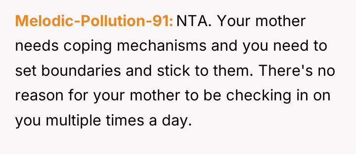 Melodic-Pollution-91 NTA. Your mother needs coping mechanisms and you need...